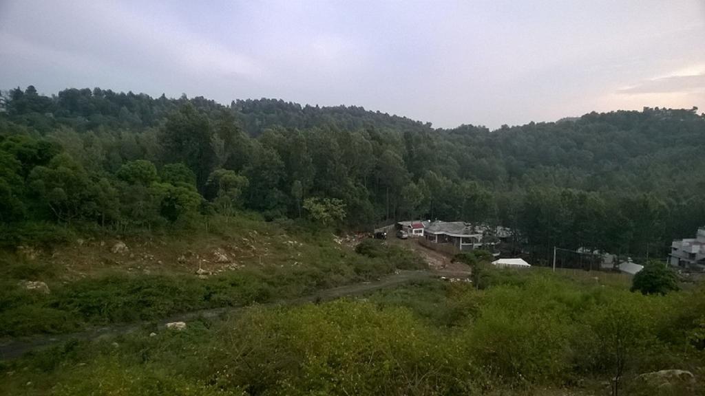 Bison Woods Hotel Yercaud Cameră foto